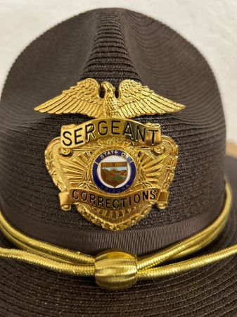 ARIZONA (AZDOC) DEPARTMENT OF CORRECTION'S CAMPAIGN HAT BADGE.
